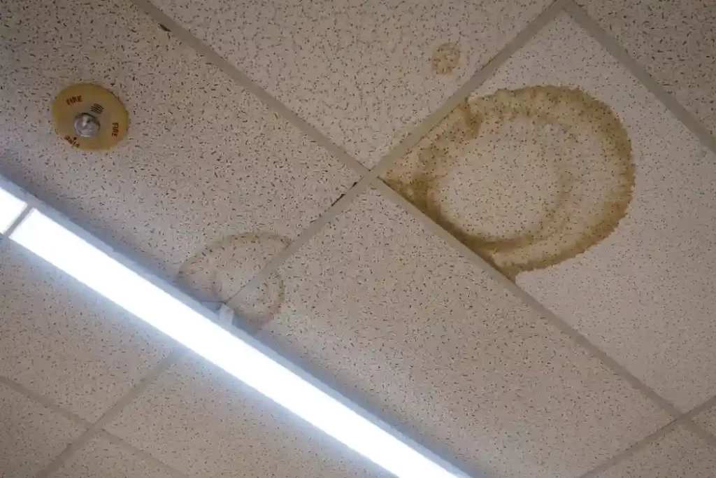 Brown Spot on Ceiling