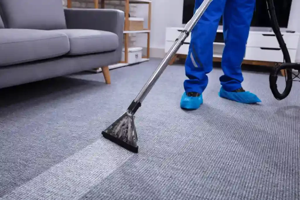 Carpet Cleaning