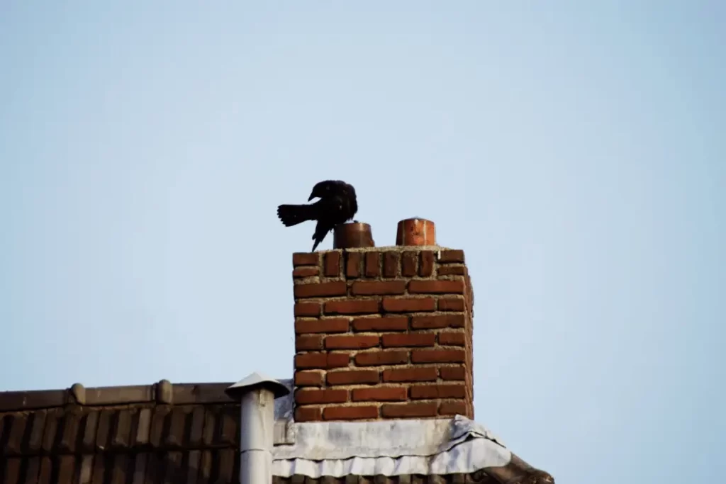 Chimney Cleaning