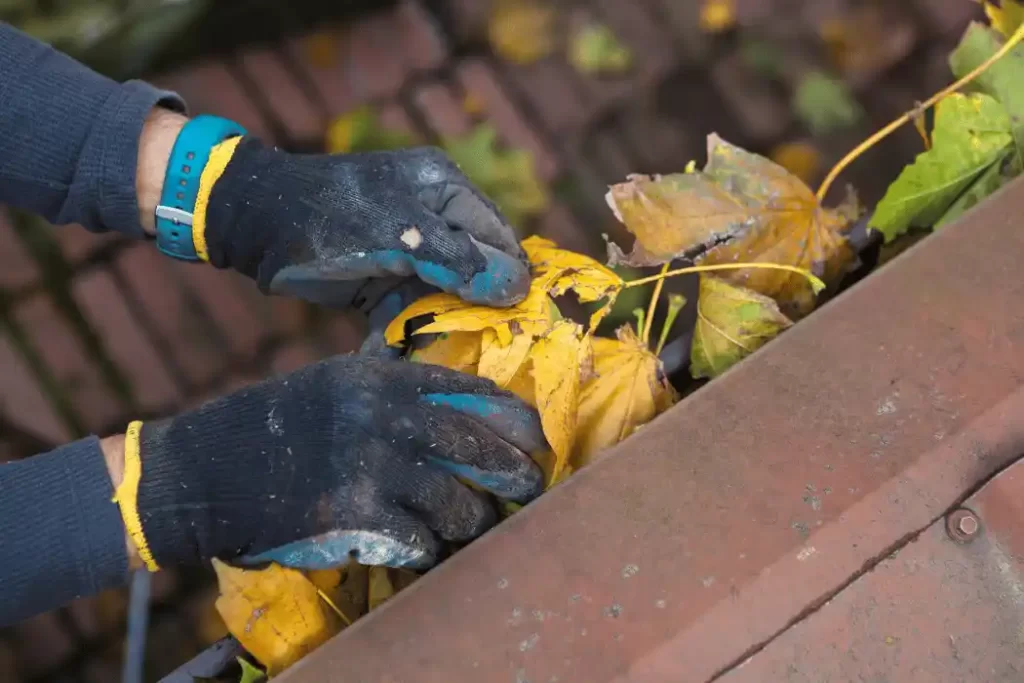 Clean Gutters