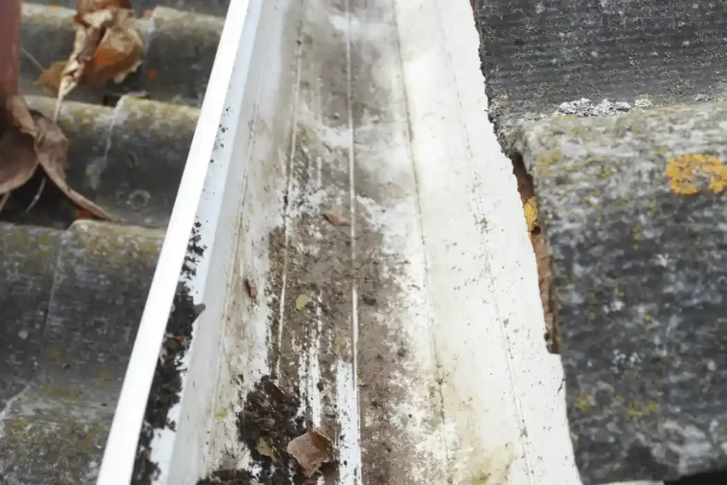 Gutter Cleaning