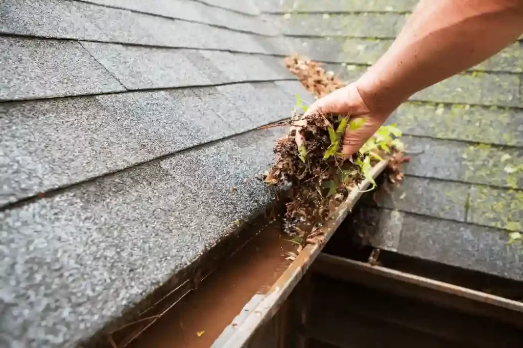 Gutter Cleaning Solutions