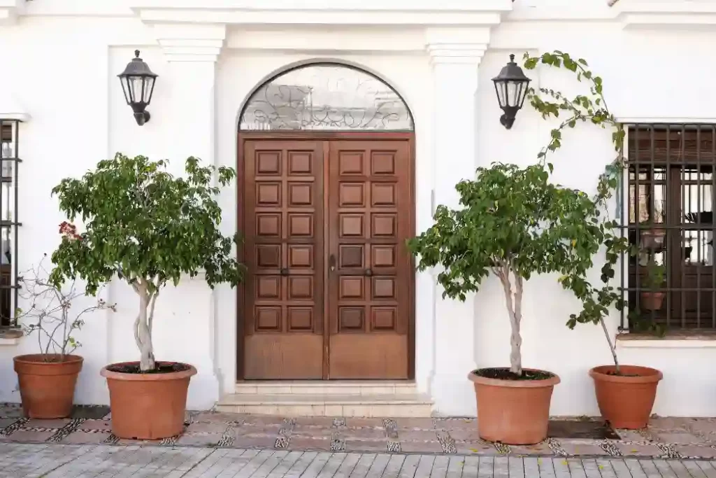 Midcentury Front Door