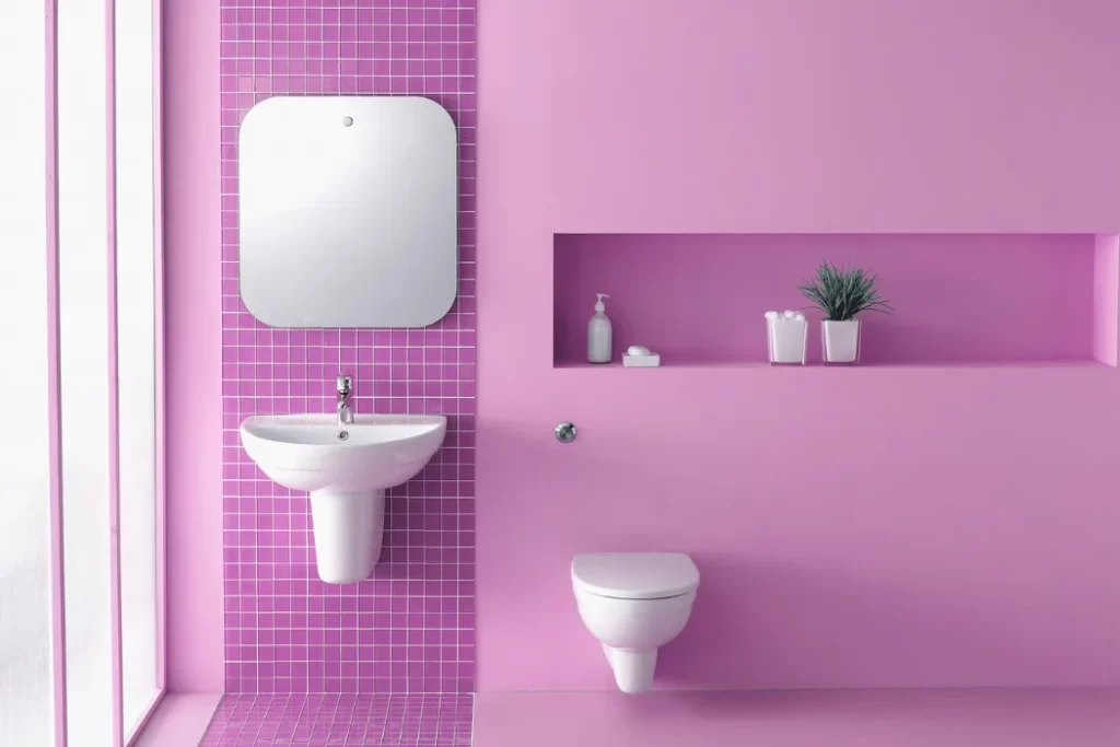 Pink Toilet