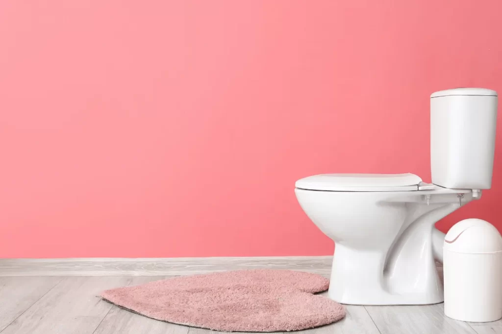 Pink Toilet