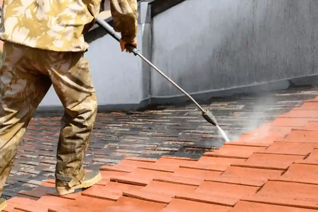 Roof Cleaning