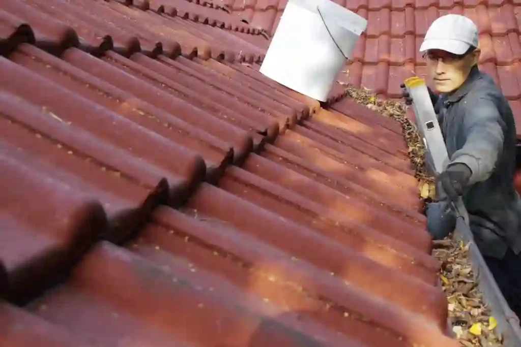 Roof Cleaning