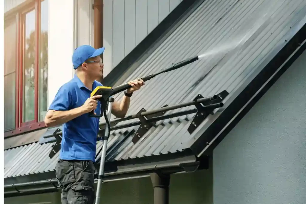 Roof Cleaning