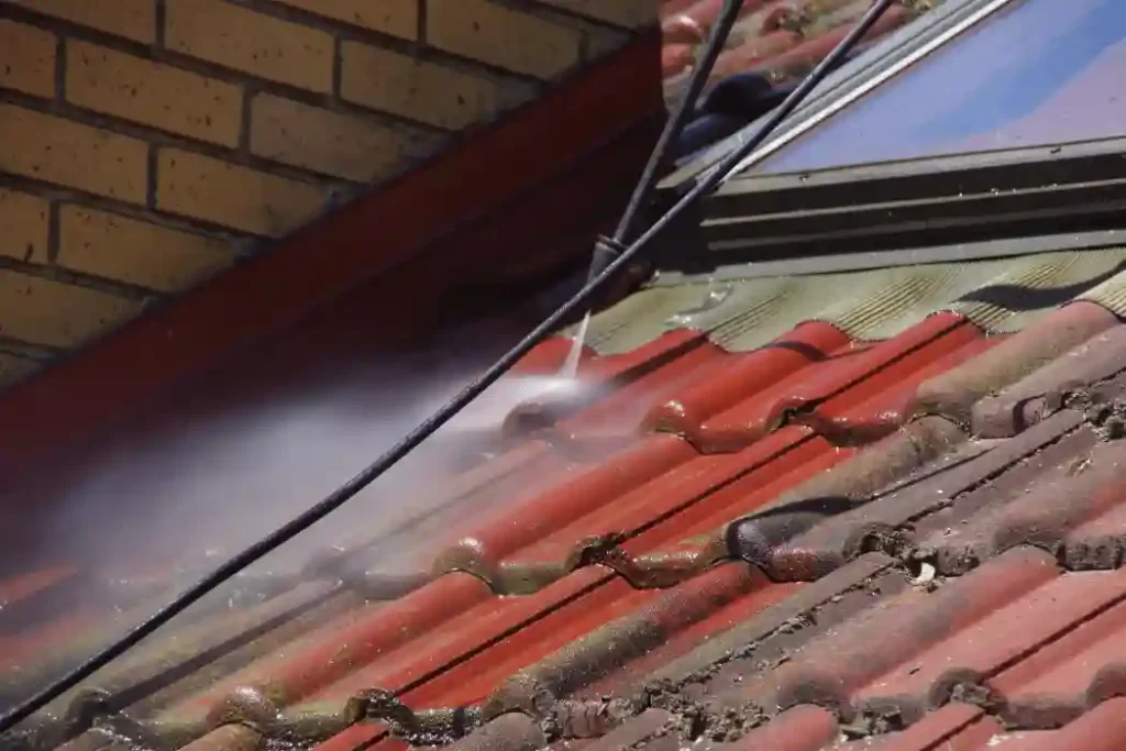 Roof Cleaning