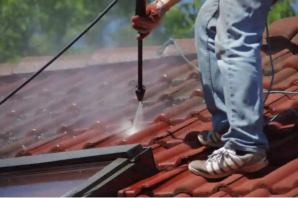 Roof Cleaning