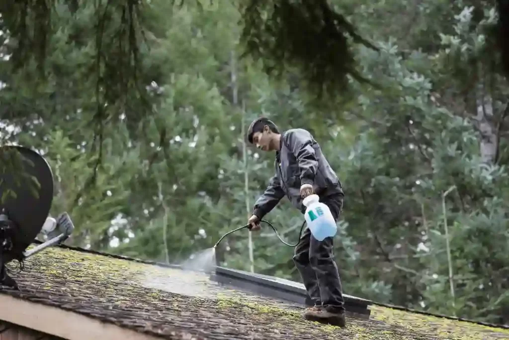 Roof Cleaning 