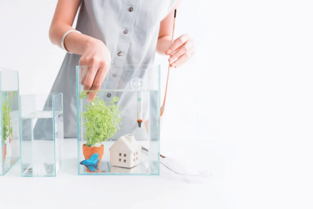 Home Aquarium Designs